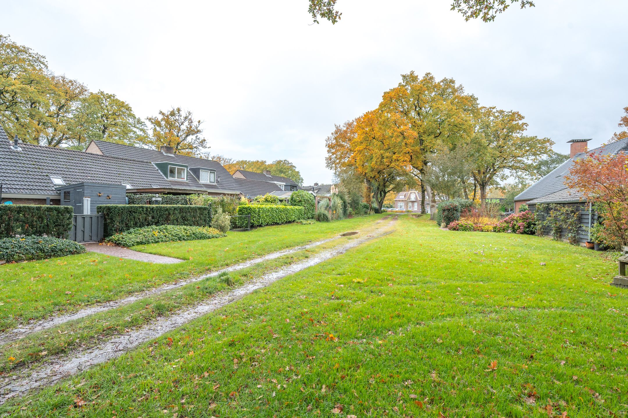 Foto 60 van Korenbloemstraat 7