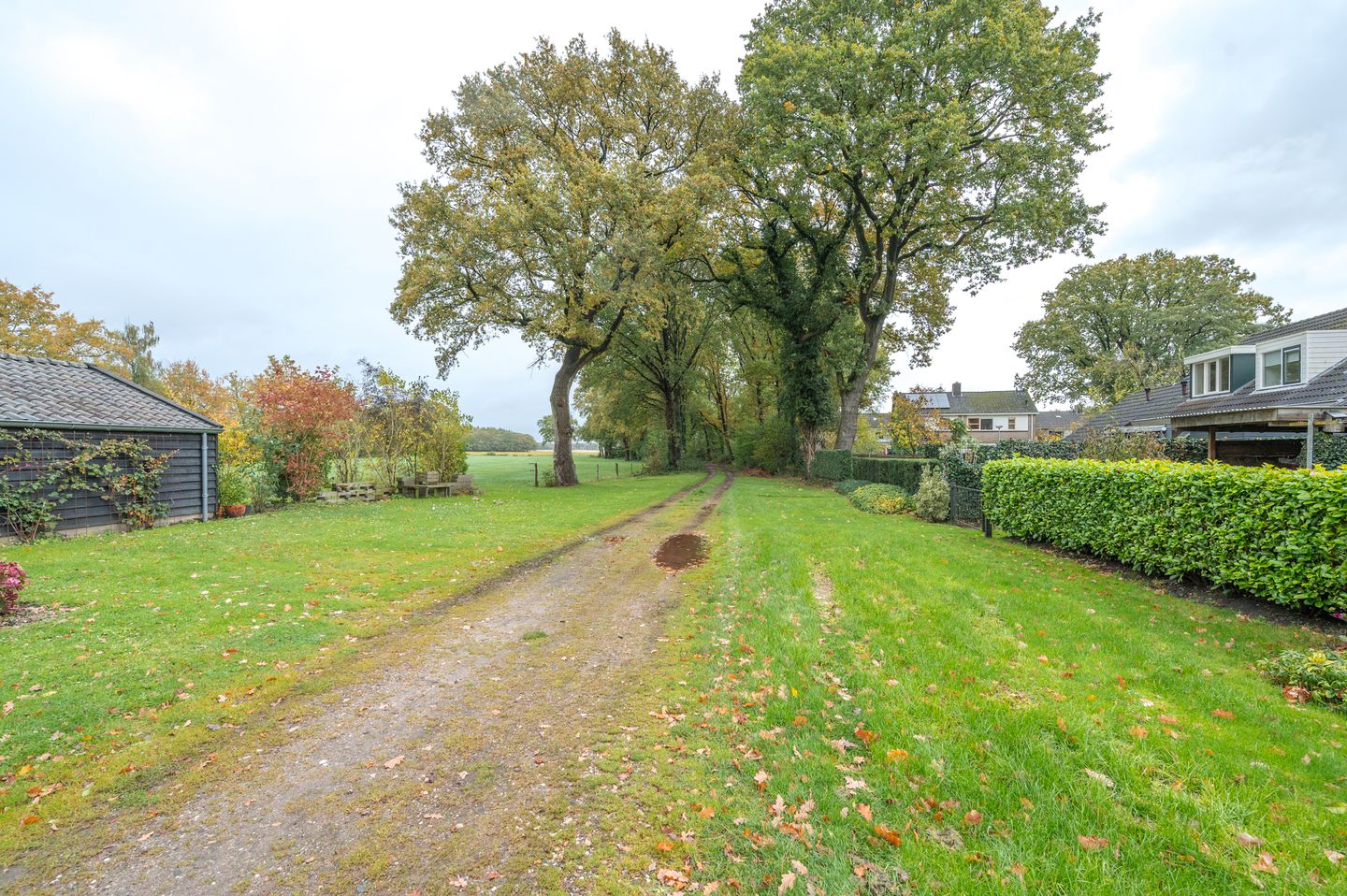 Foto 64 van Korenbloemstraat 7