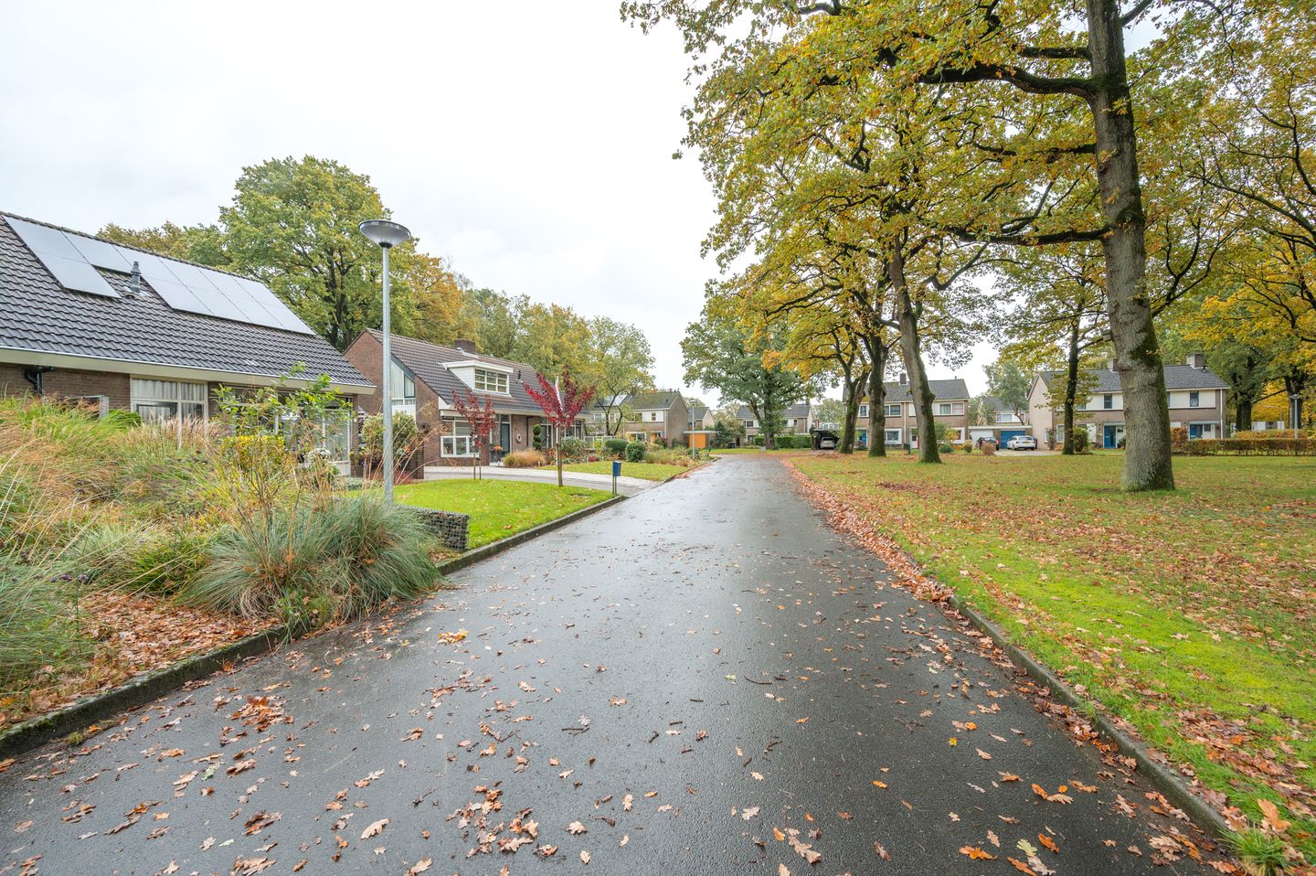 Foto 74 van Korenbloemstraat 7