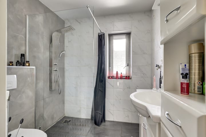 Photo 19 of Zilverschoon 76