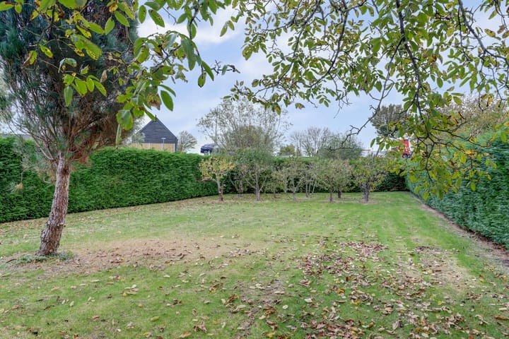 Foto 6 van Trambaan 1