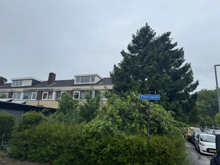 Photo 26 of Fidessapad 1