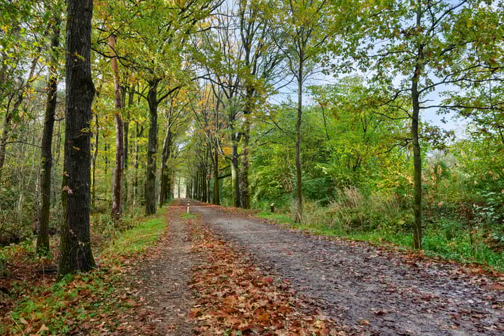 Photo 50 of Boterbloemstraat 37