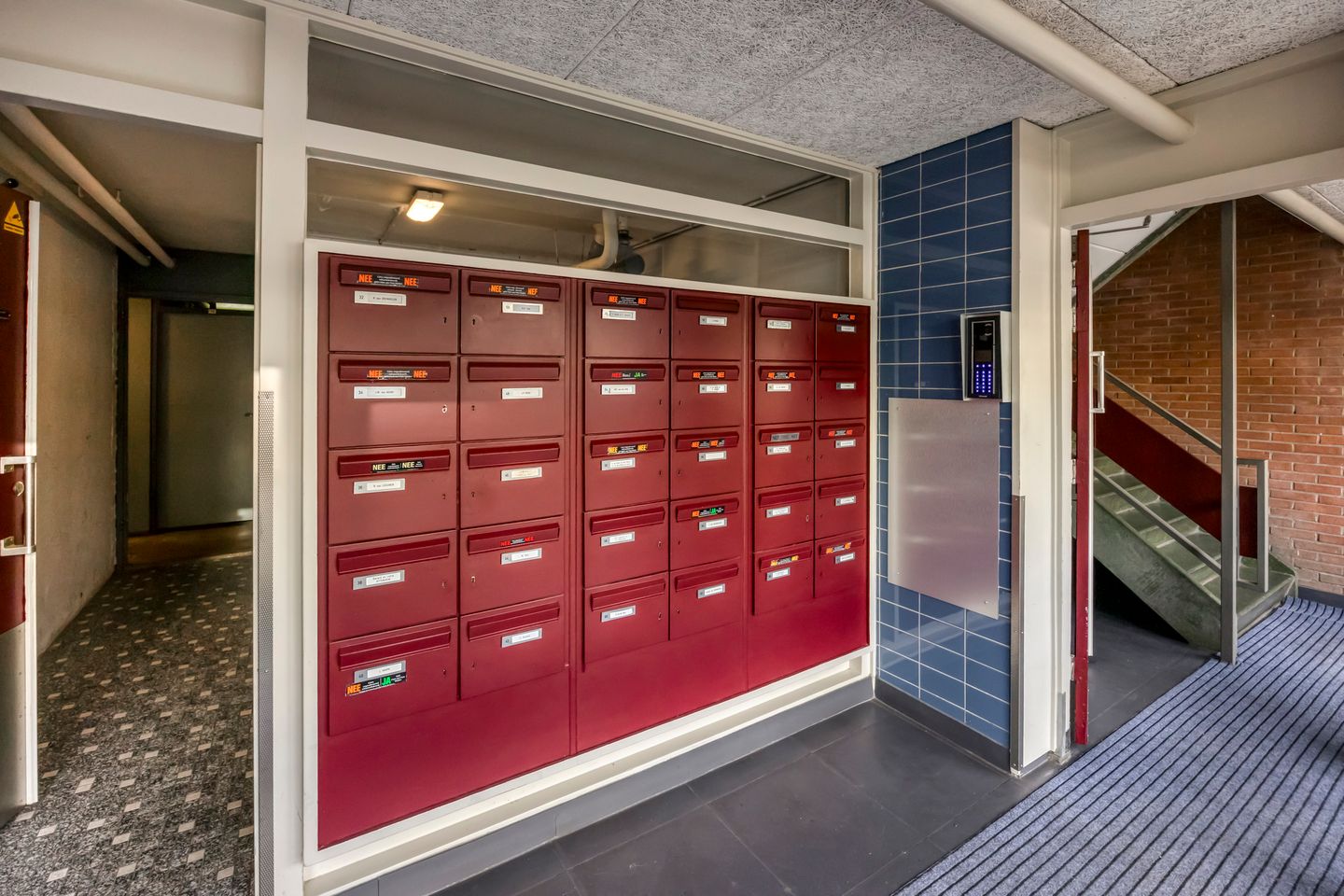 Foto 10 van Campanulastraat 46