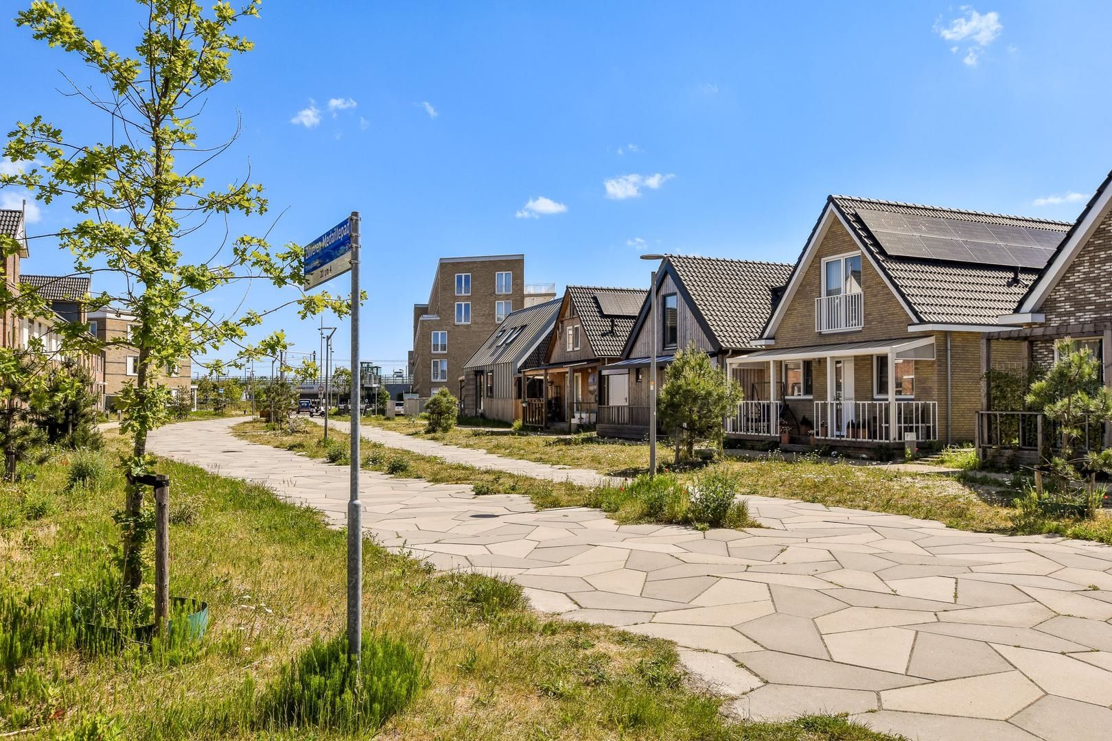 Foto 30 van Zilveren Medaillepad 5