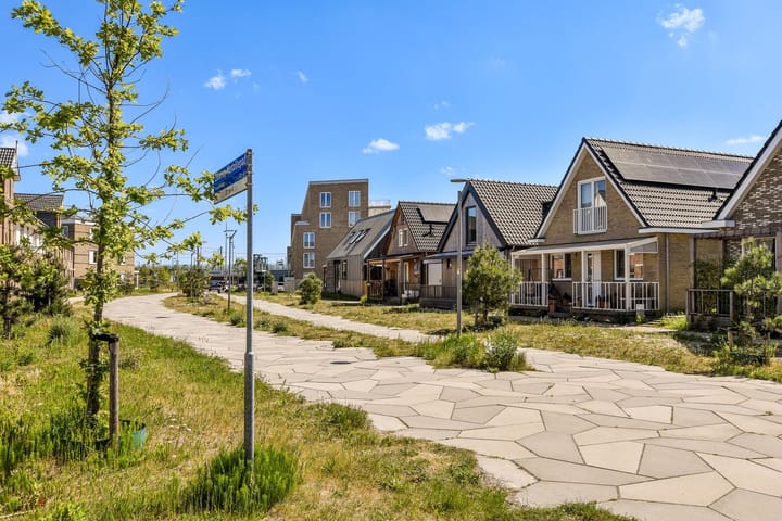 Photo 30 of Zilveren Medaillepad 5