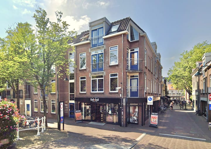 Molslaan 132, Delft
