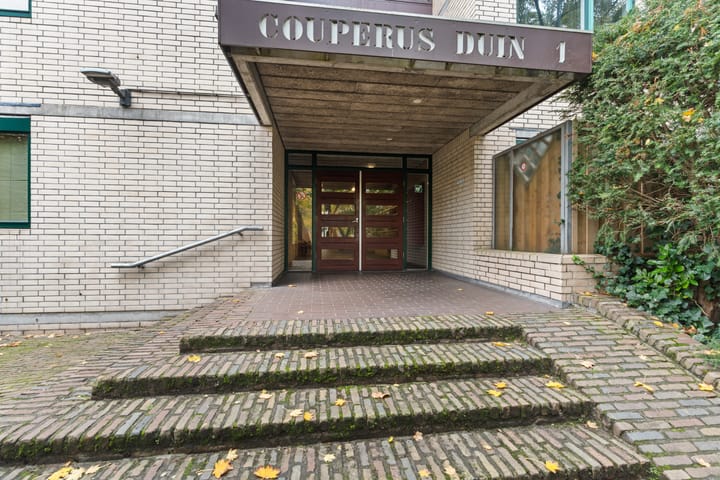 Photo 5 of Burgemeester Patijnlaan 262