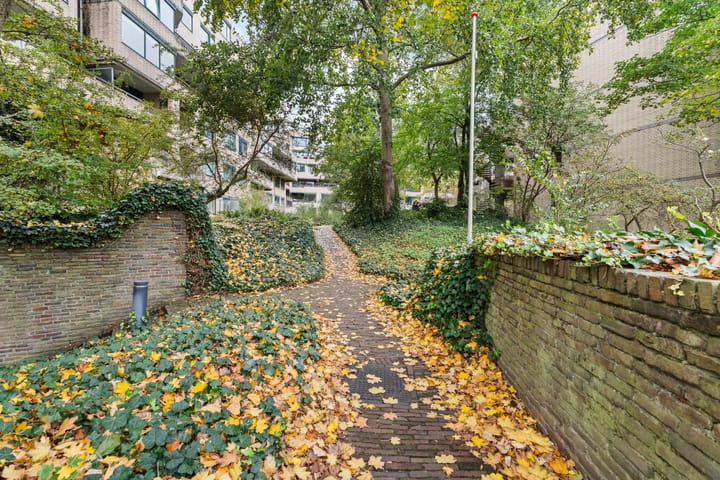 Photo 25 of Burgemeester Patijnlaan 262