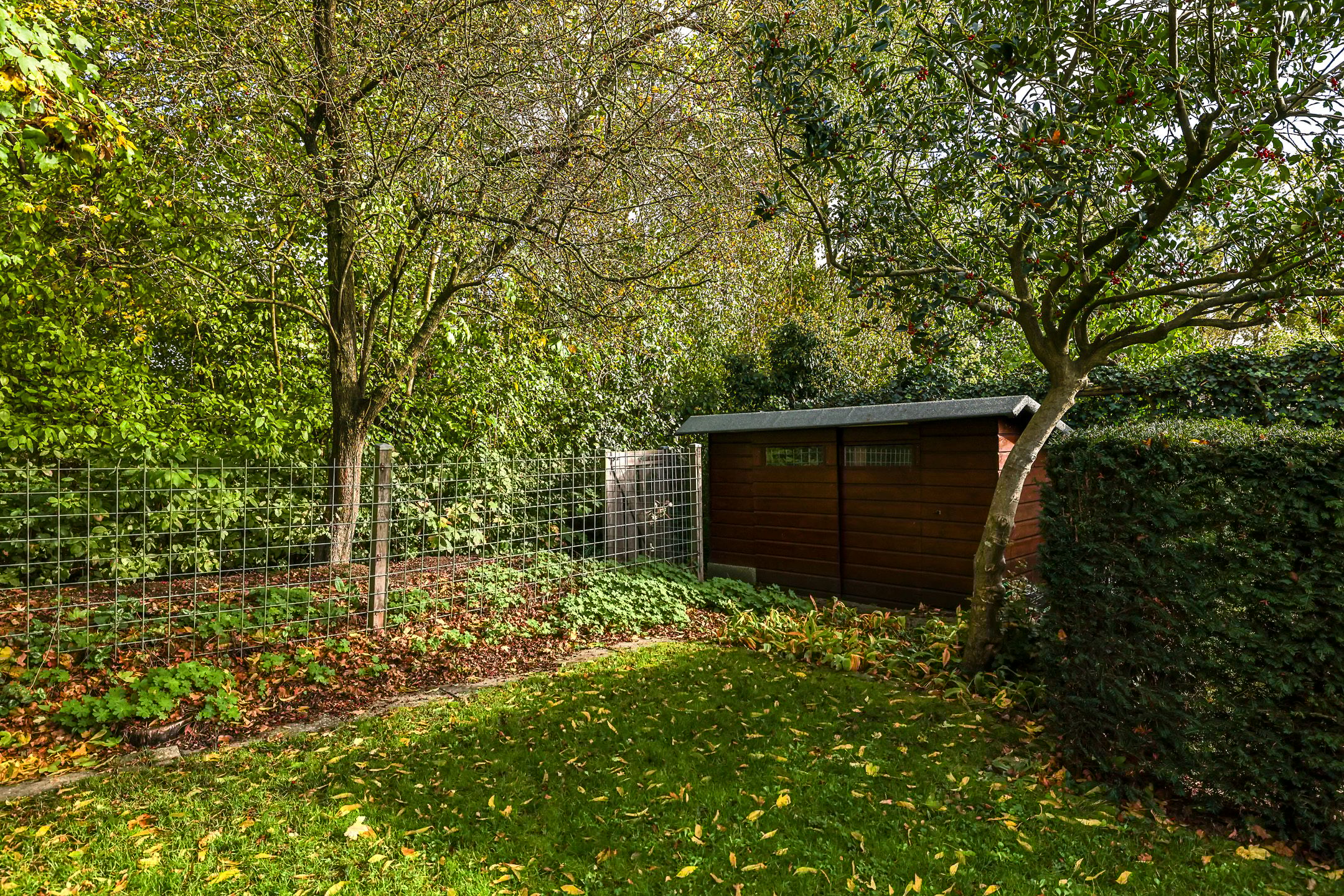 Foto 63 van Steenbeekstraat 35