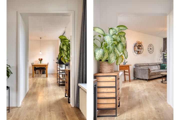 Foto 8 van Atalanta 52