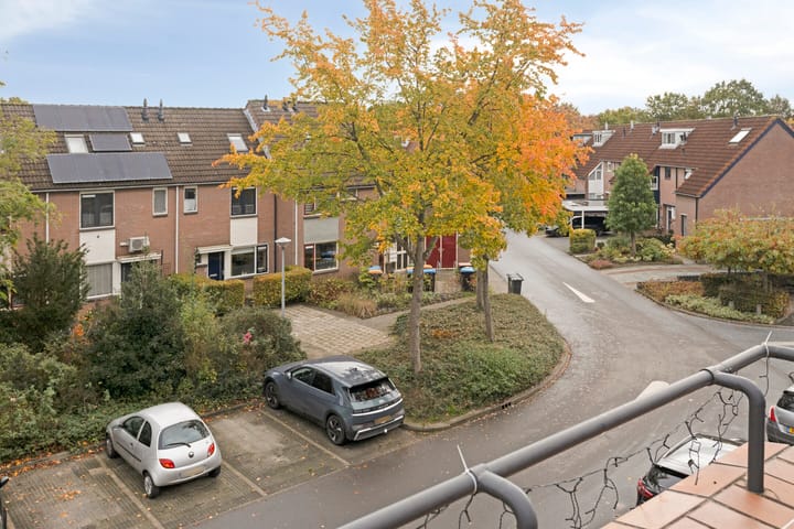 Foto 34 van Atalanta 52