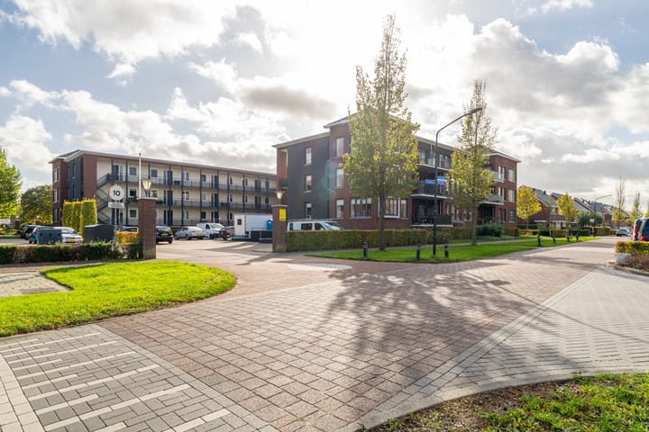 Photo 31 of Citadel 28