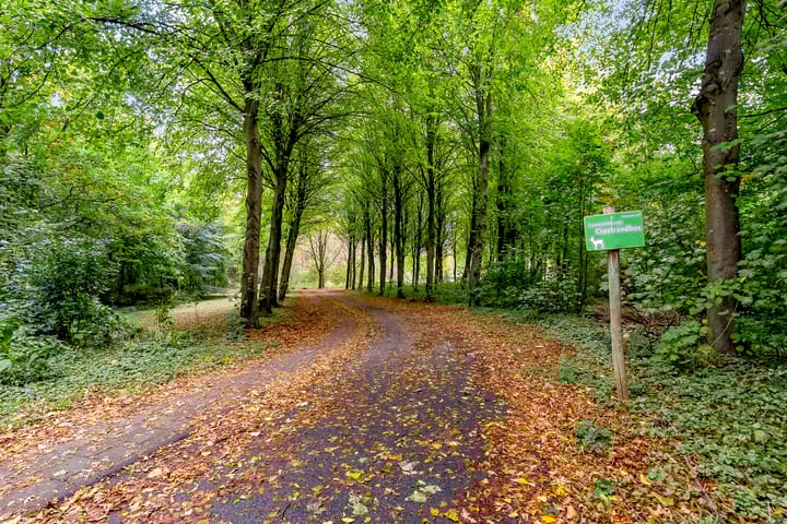 Foto 6 van Oostrandpark 16