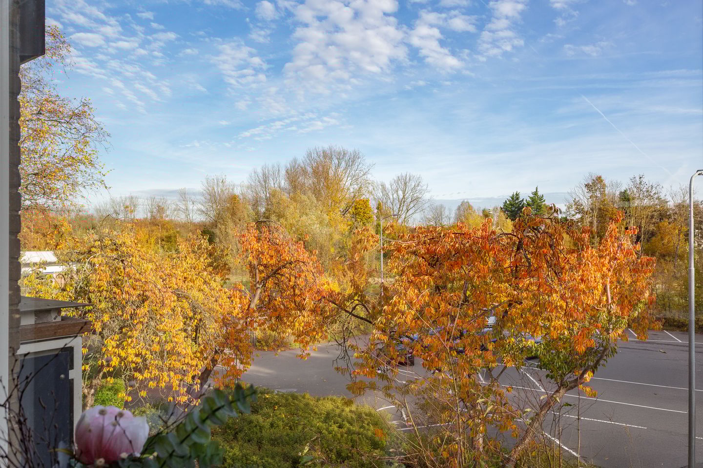 Foto 19 van Wijnmalenstraat 67