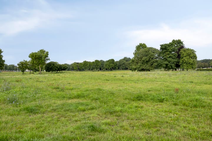 Foto 30 van Nijreesweg 4