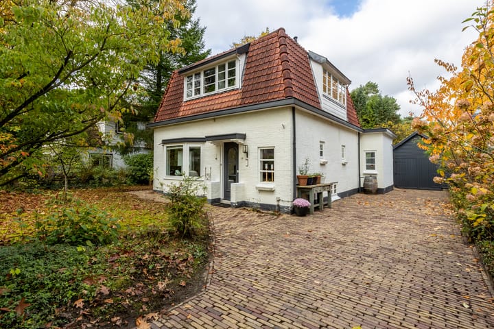 Foto 2 van Julianalaan 261