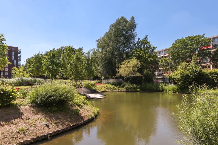 Foto 5 van Campanula 3-15