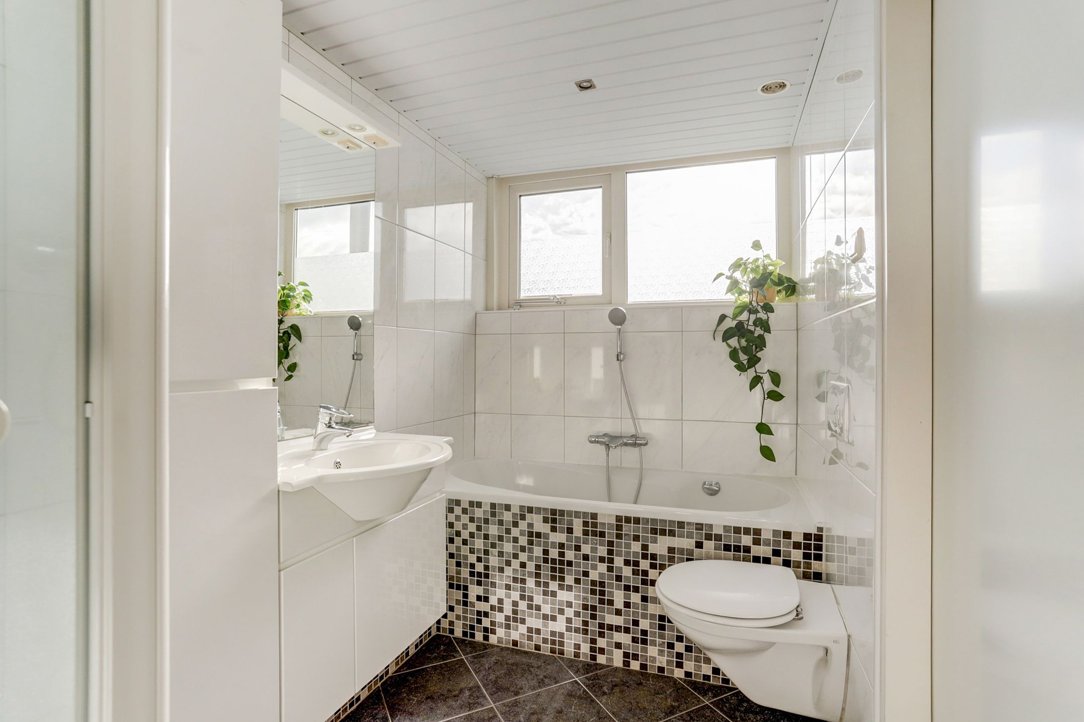 Foto 30 van Tolhuis 6142