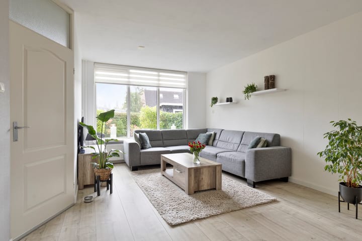 Foto 7 van Edzemaheerd 3