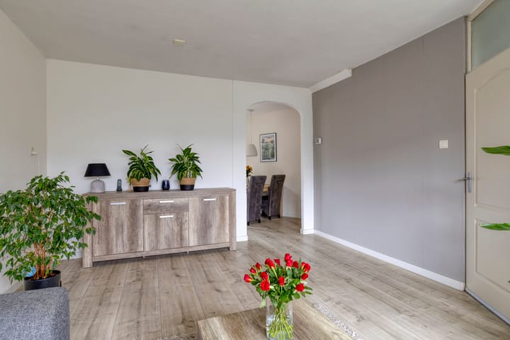 Foto 11 van Edzemaheerd 3