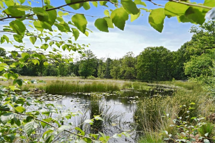 Photo 29 of Edelweisstraat 127