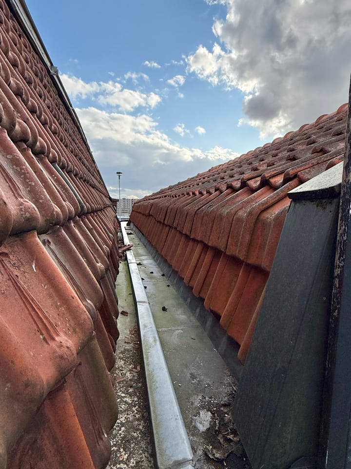 Foto 29 van Zuiddijk 47