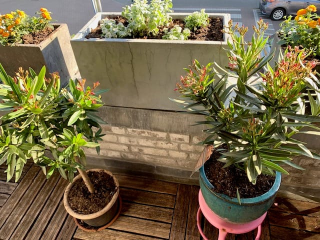 Foto 44 van Adrianalaan 101-B