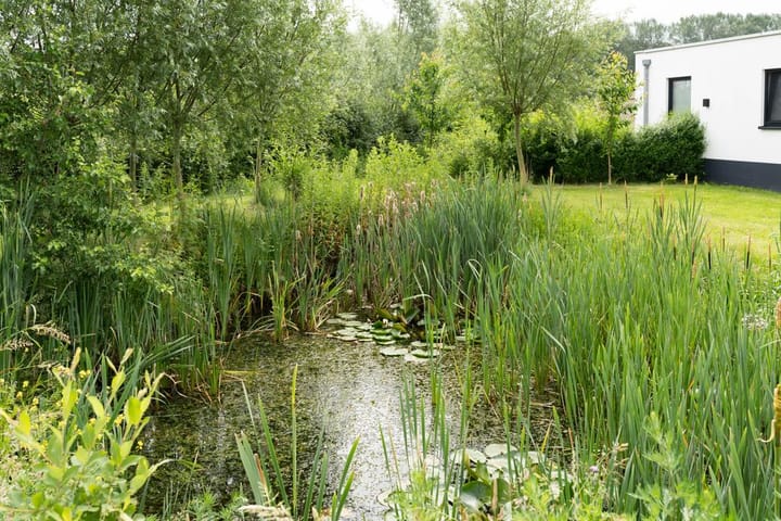 Photo 43 of Aletta Jacobsstraat 36