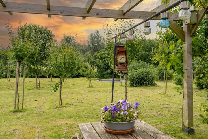 Photo 44 of Aletta Jacobsstraat 36