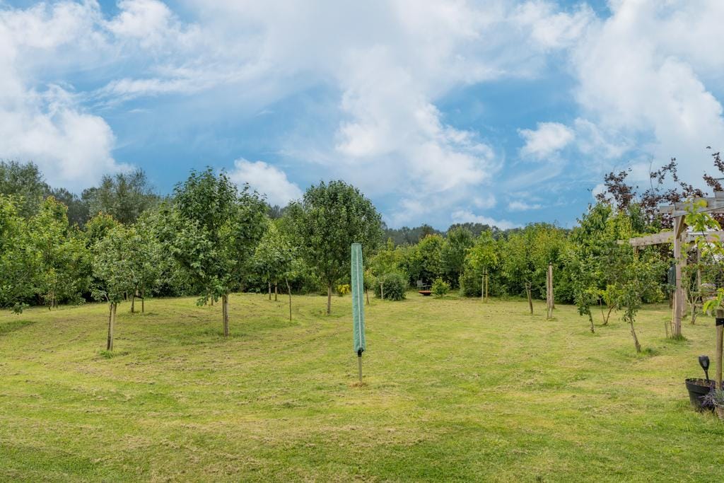 Foto 47 van Aletta Jacobsstraat 36