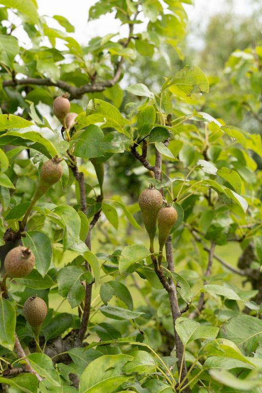 Foto 49 van Aletta Jacobsstraat 36