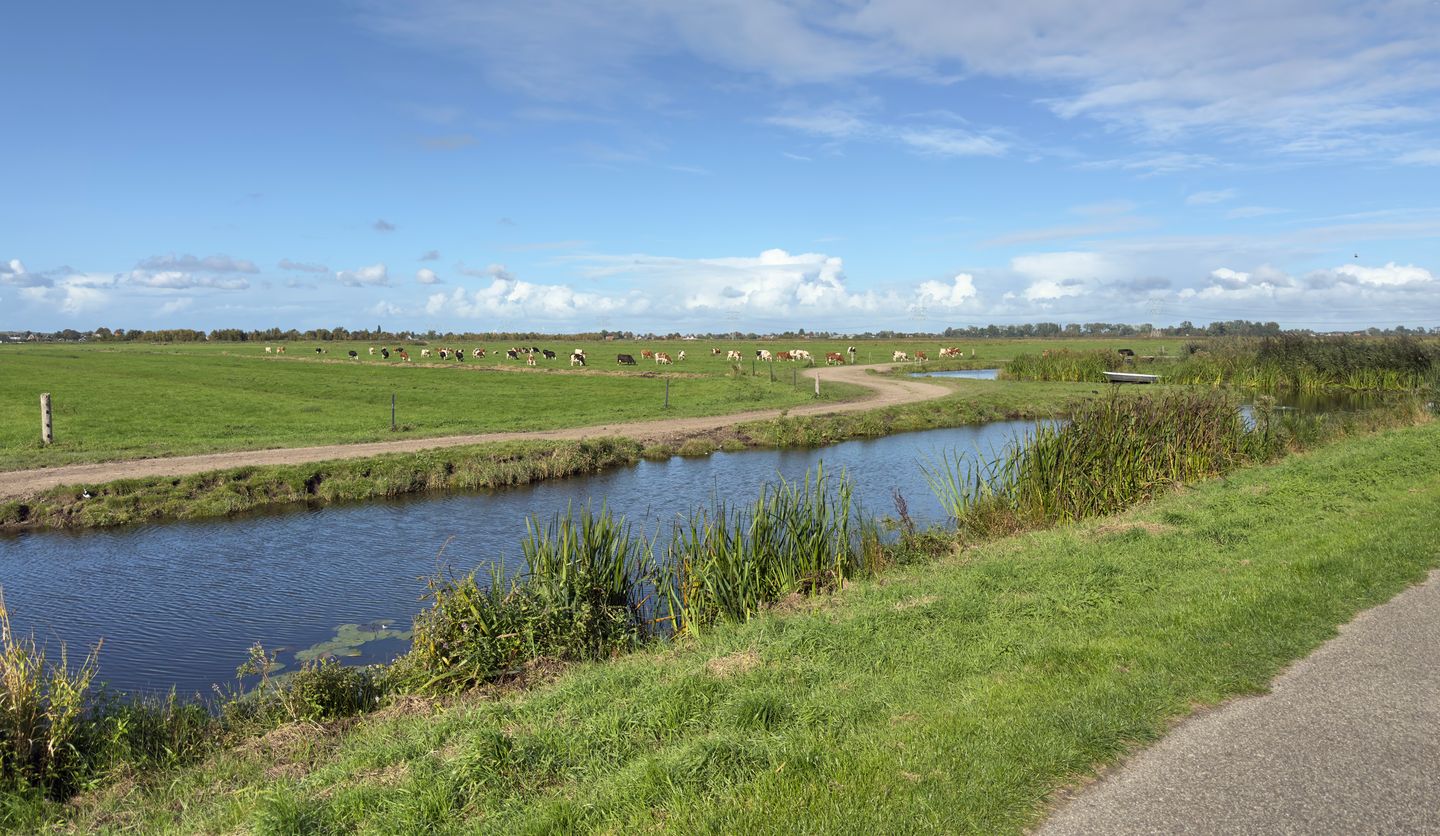 Foto 5 van Jan Wandelaarpad 25