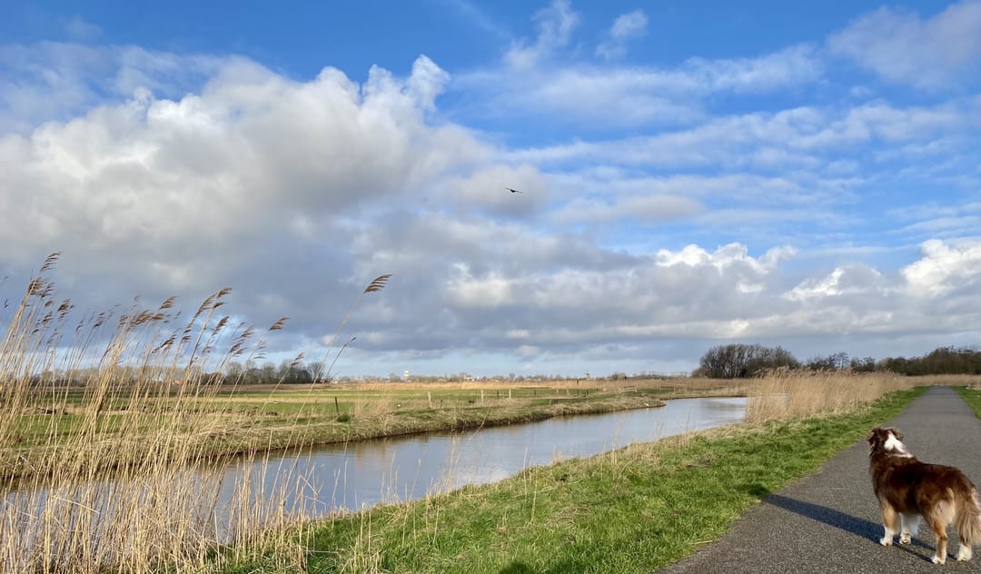 Foto 46 van Jan Wandelaarpad 25