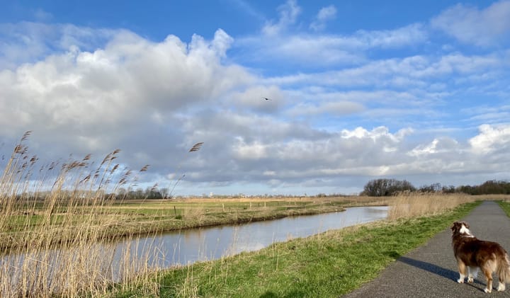 Photo 46 of Jan Wandelaarpad 25