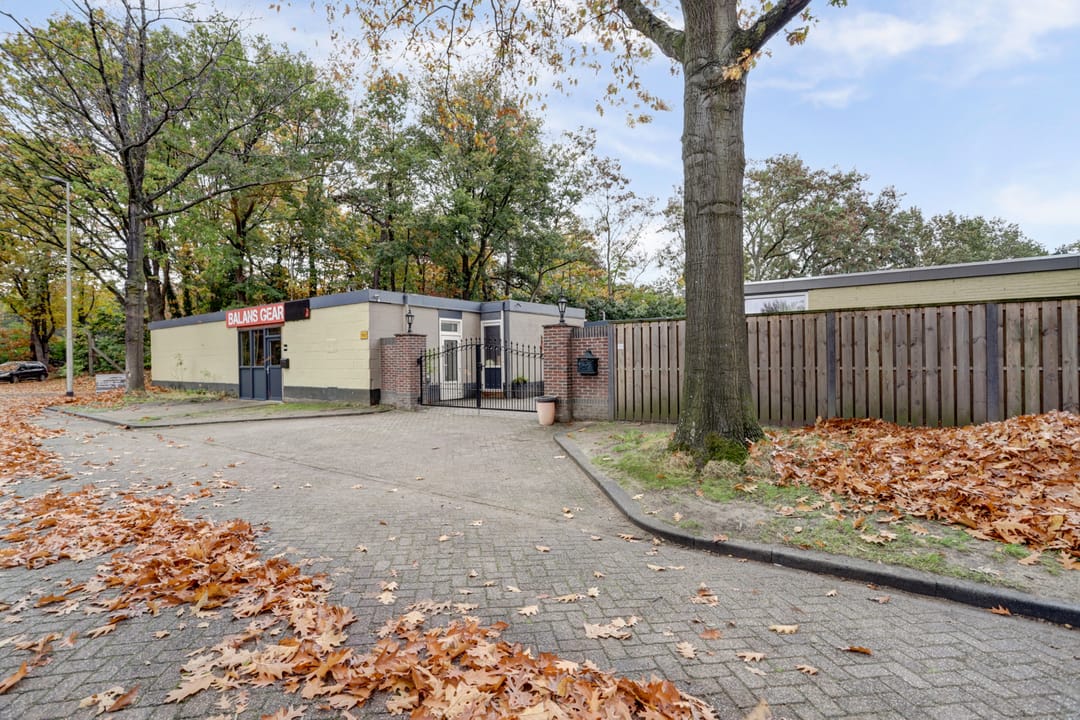 Photo 53 of Albionstraat 55