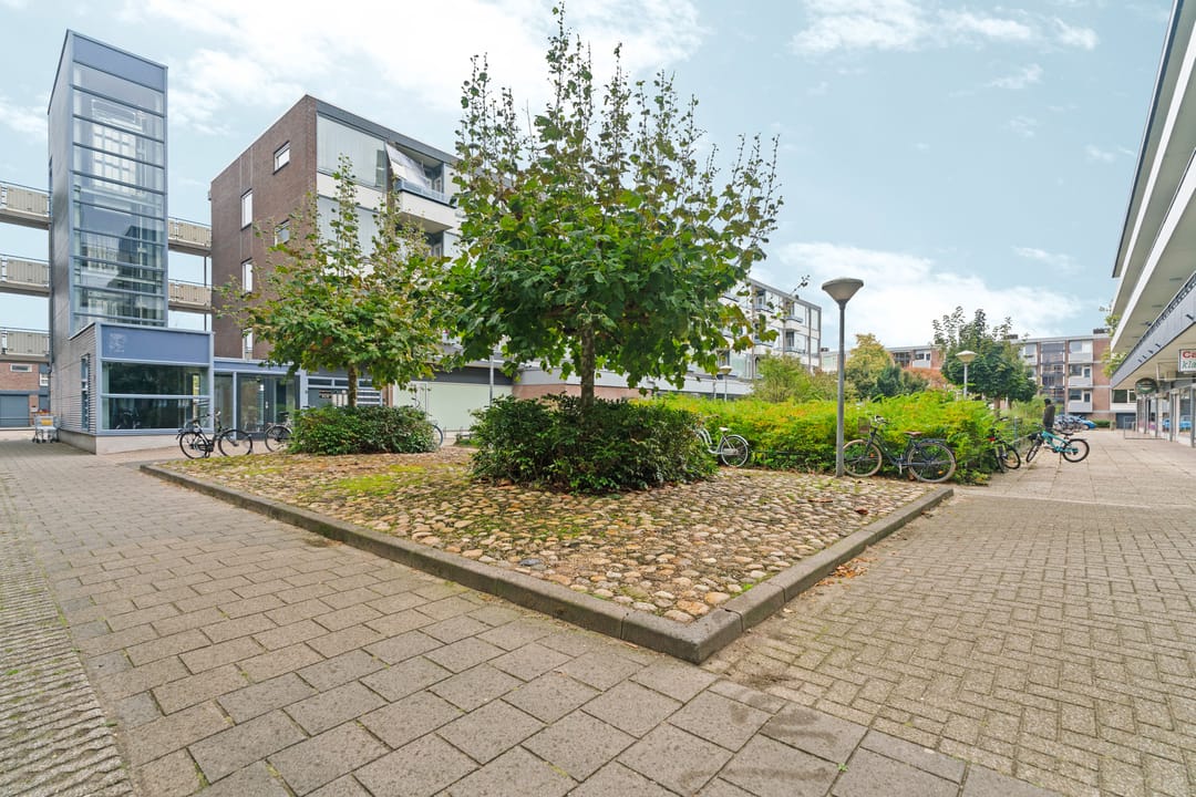 Photo 46 of van Hogendorpstraat 84