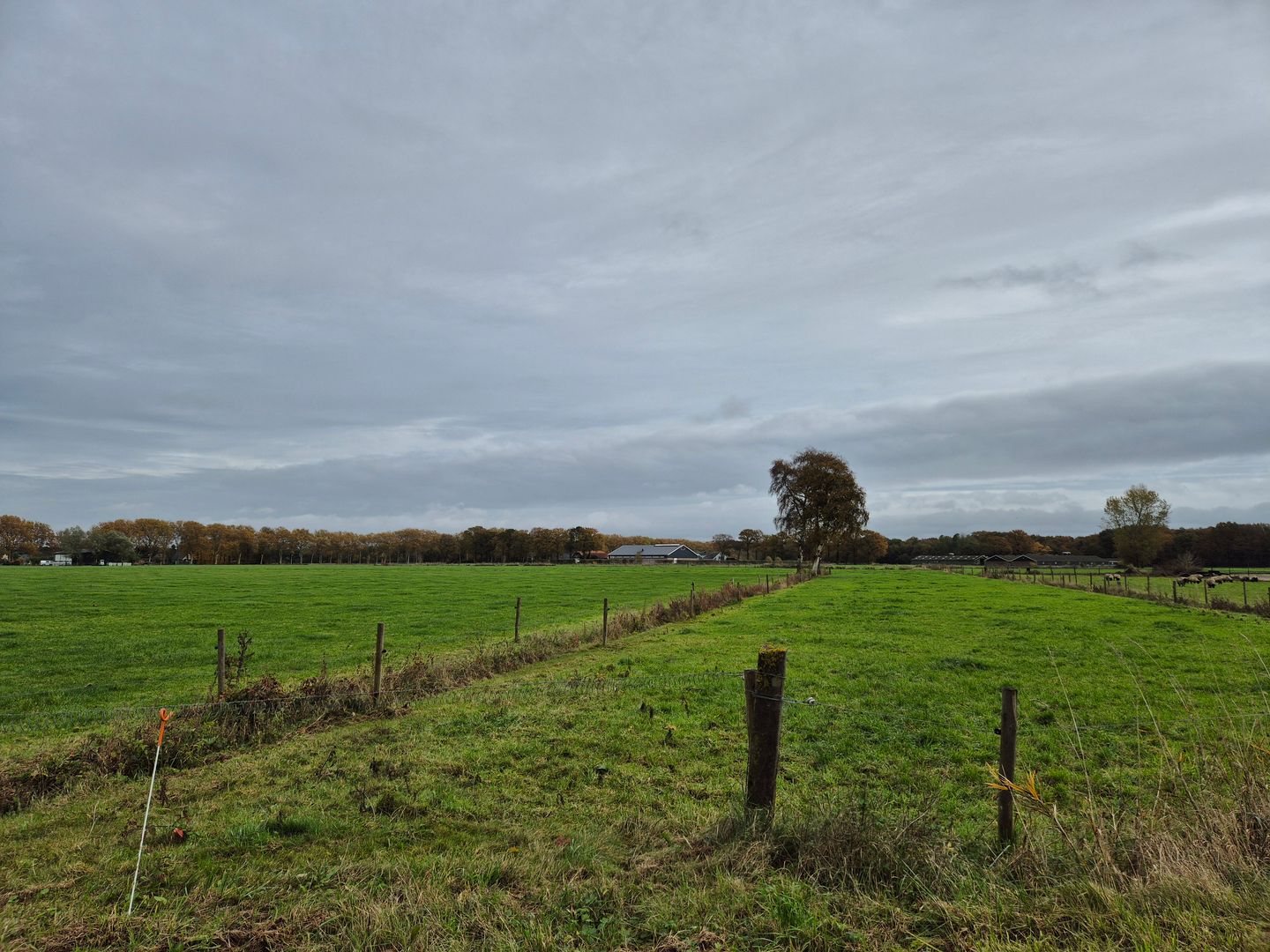 View photo 3 of Nieuwe Voorthuizerweg