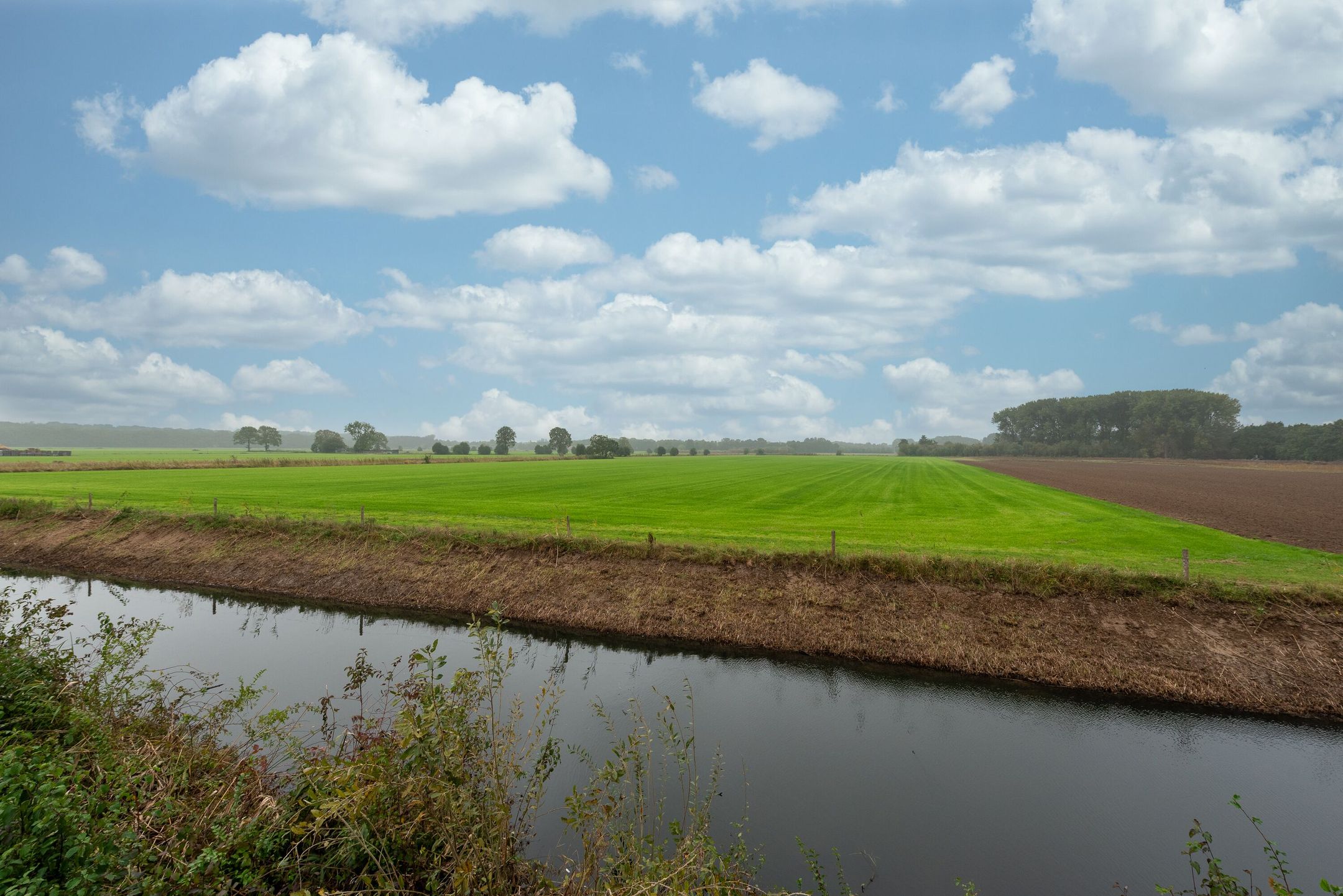 Photo 39 of Couwenhoven 4311