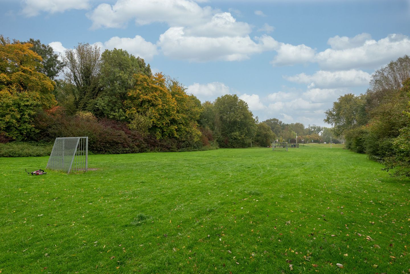 Photo 40 of Couwenhoven 4311