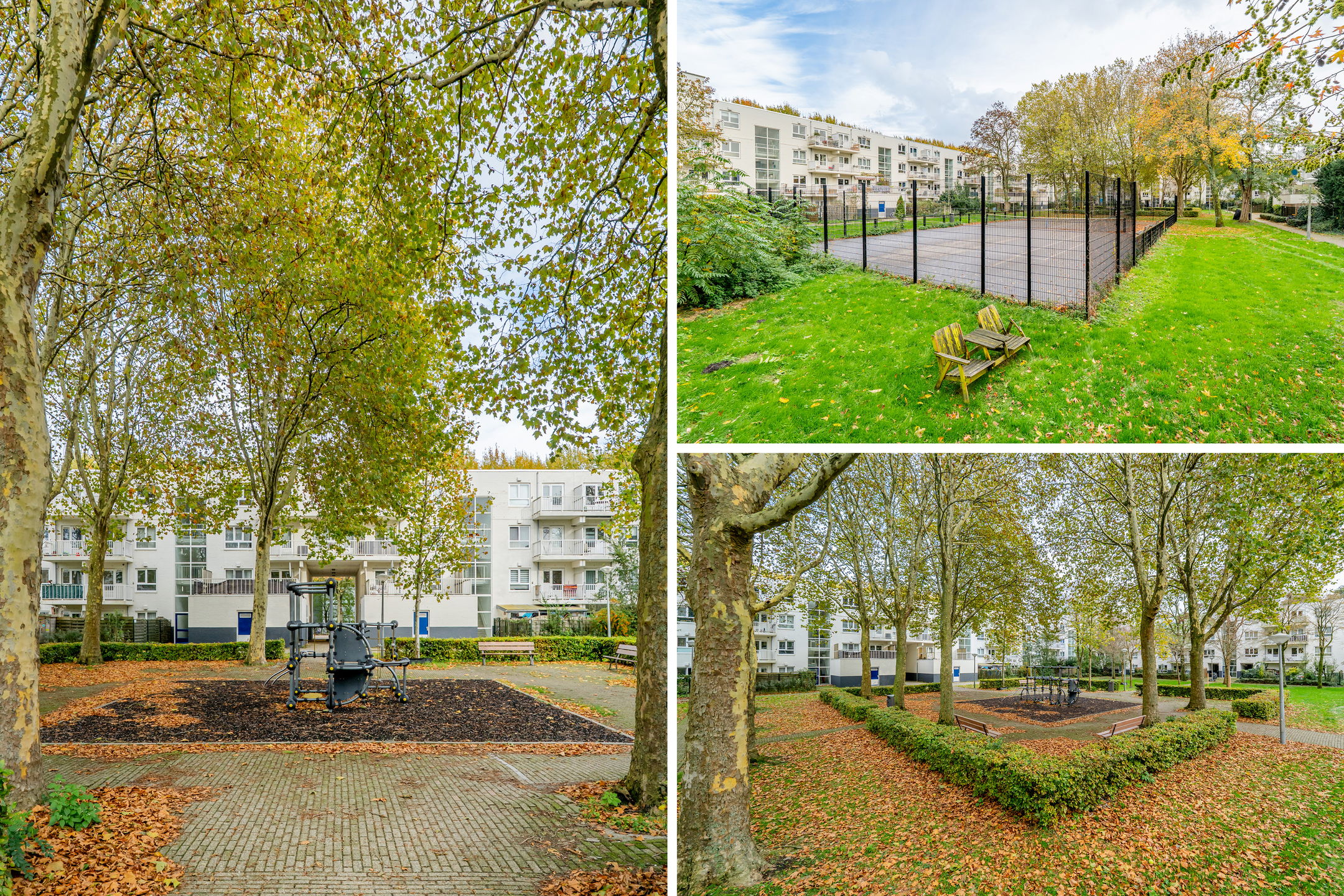 Foto 36 van Daniël Defoelaan 143