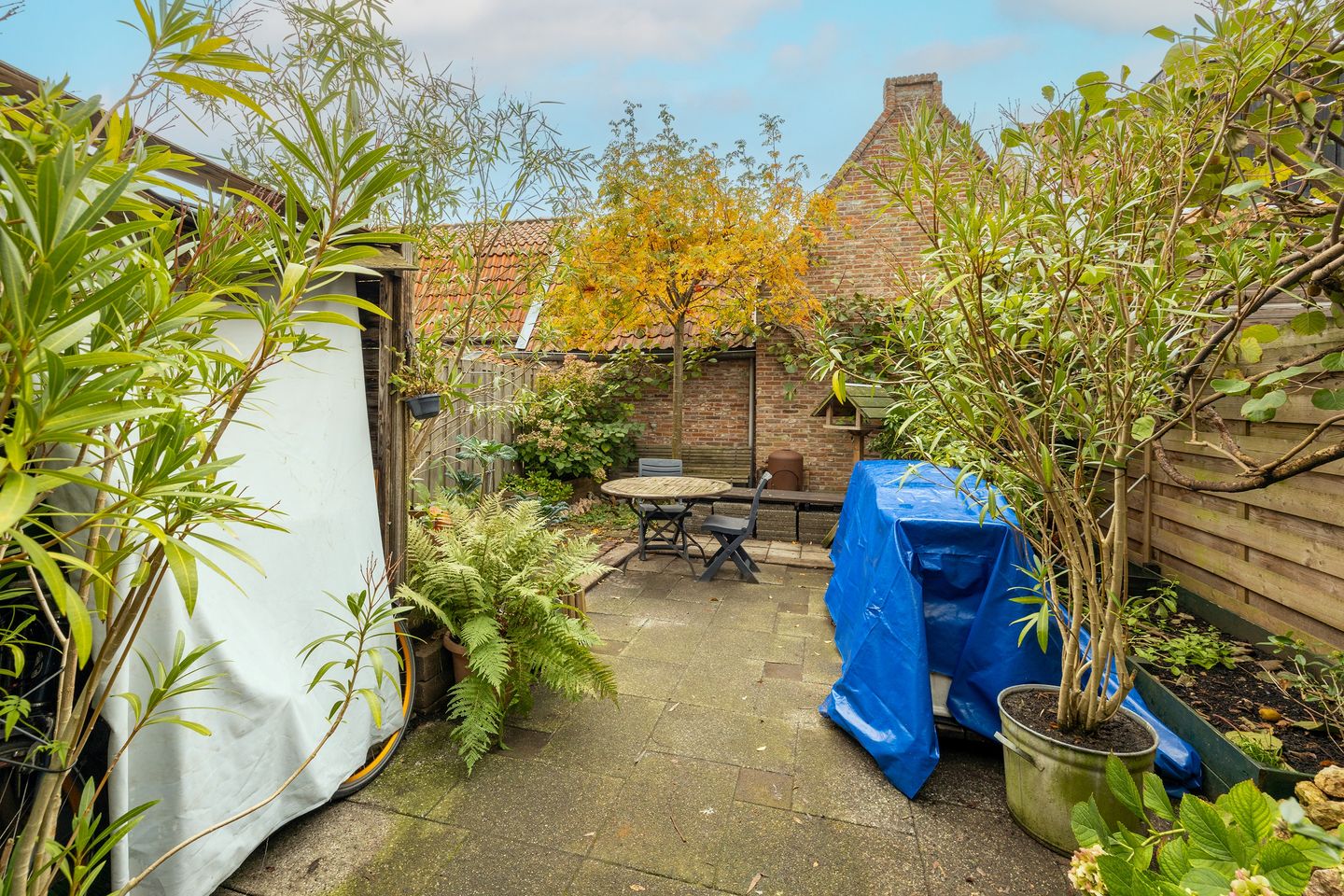 Foto 49 van Lange Weistraat 55