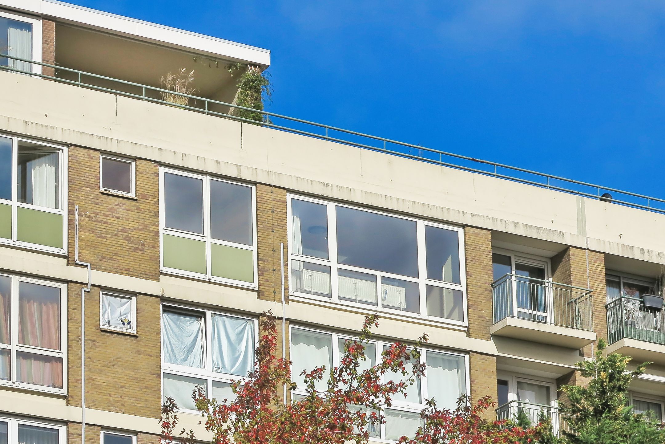 Foto 3 van Eastonstraat 194