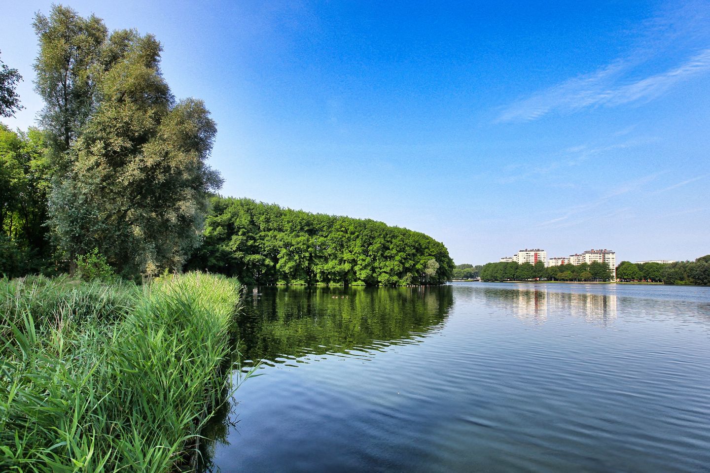 Foto 40 van Eastonstraat 194