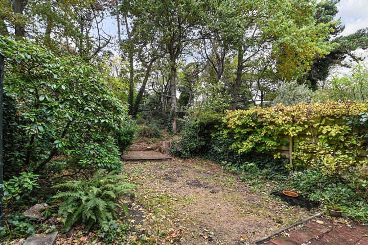 Foto 65 van Frankenstraat 29