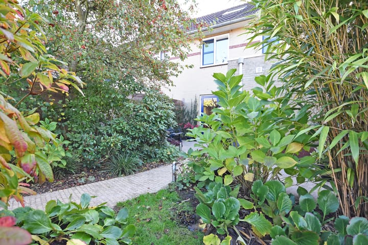 Foto 18 van Wettermunt 14