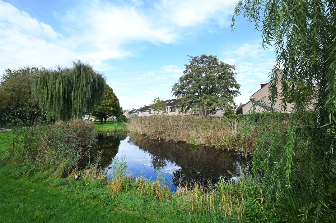 Foto 23 van Jacob van Ruysdaelstraat 8