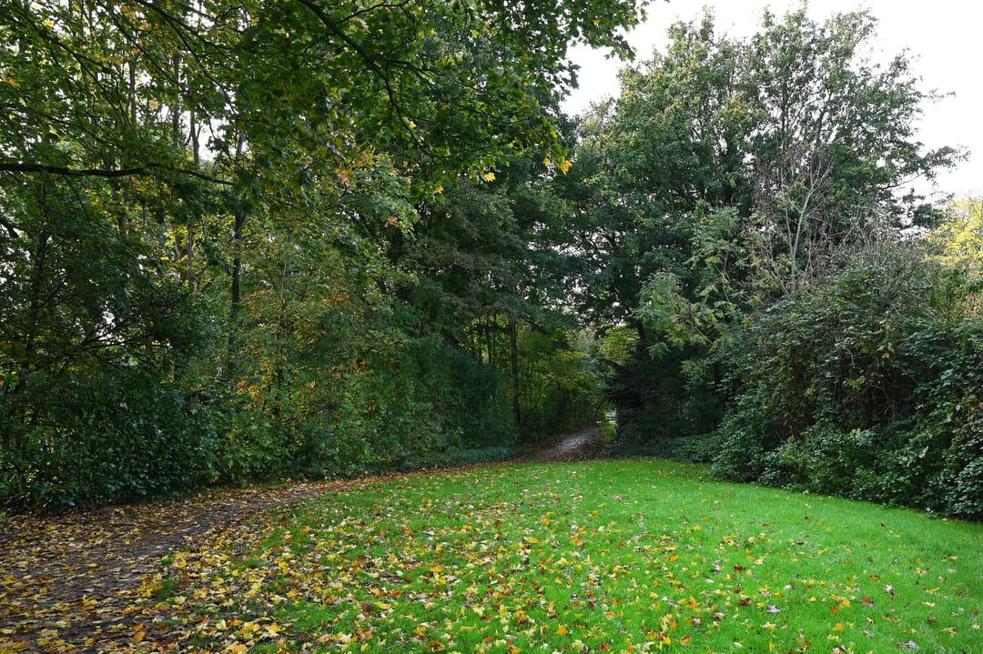 Foto 26 van Jacob van Ruysdaelstraat 8