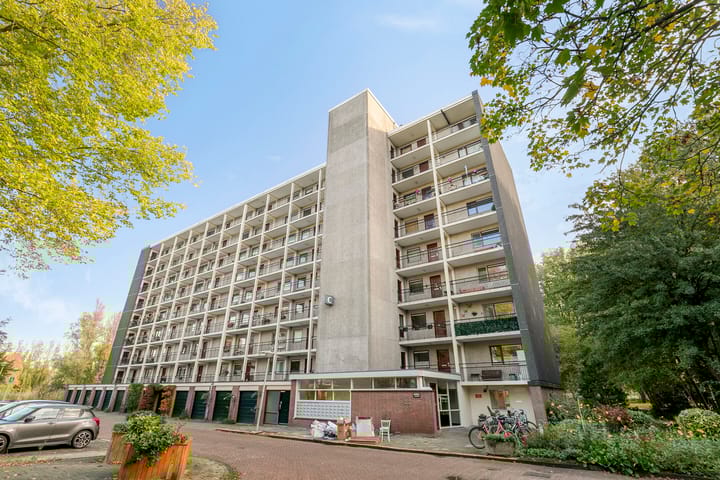 Foto 6 van Amerbos 60