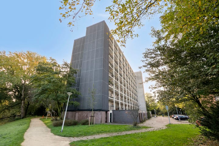 Foto 7 van Amerbos 60